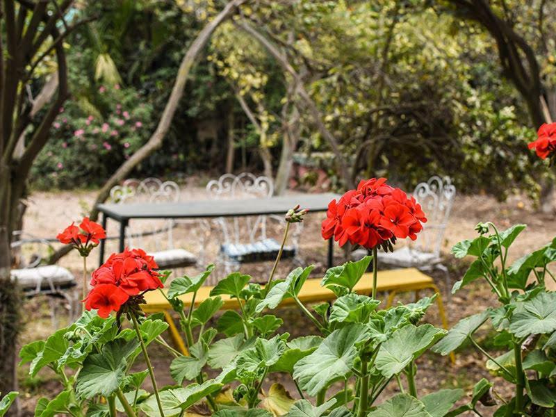 Casa Campo Lindo Olmué エクステリア 写真